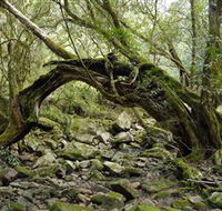 Mitchell River National Park - Accommodation Cairns