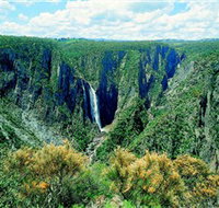 Wollomombi Falls - Accommodation Cairns