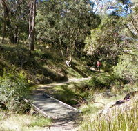 Wollomombi walking track - Accommodation Cairns