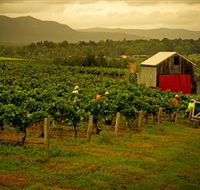 Around Hermitage Wine and Food Trail Hunter Valley - Accommodation Cairns