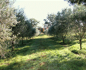 Langdale Farm - Accommodation Cairns