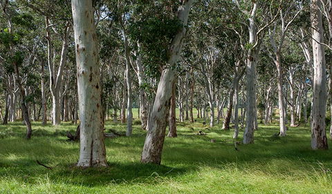 Coast To The Highlands Scenic Drive â€“ Kangaroo Valley - Accommodation Cairns 1