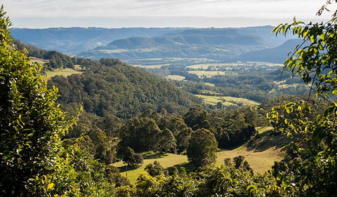 Coast To The Highlands Scenic Drive â€“ Kangaroo Valley - Accommodation Cairns 3