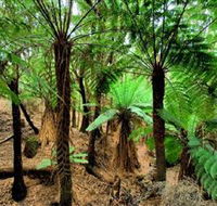 Pegarah Private Nature Reserve  Parenna Place - Accommodation Cairns