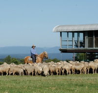 Tobruk Sydney - Accommodation Cairns