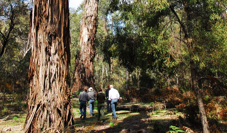 Berlang NSW Accommodation Cairns