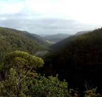 Nattai Gorge Lookout - Accommodation Cairns