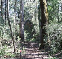 Box Vale Mine Walking Track and Lookout - Accommodation Cairns