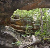 Cave Creek Walking Track - Accommodation Cairns