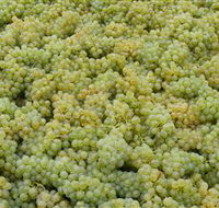 Normanby Wines - Accommodation Cairns