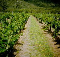 Gartelmann Wines - Accommodation Cairns
