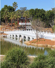 Chang Lai Yuan Chinese Gardens - Accommodation Cairns 1