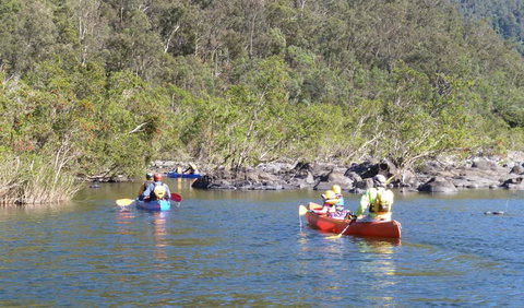 Nymboida National Park - Accommodation Cairns 1