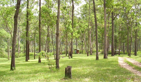 Nymboida National Park - Accommodation Cairns 2