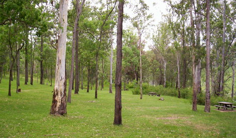 Nymboida National Park - Accommodation Cairns 3