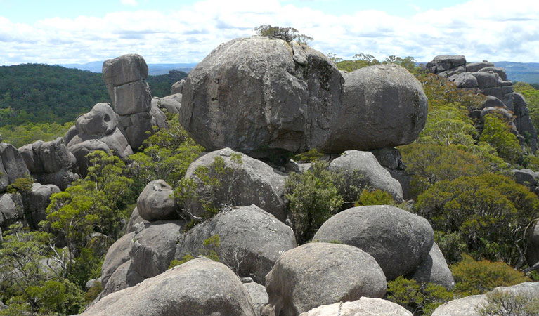 Fernbrook NSW Accommodation Cairns