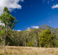 Brush Turkey track - Accommodation Cairns