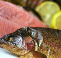 Lovedale Smokehouse Gourmet Pantry Cafe and Masterclasses - Accommodation Cairns