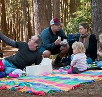 State Forests of the Watagan Mountains - Accommodation Cairns