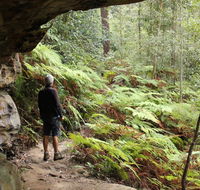 Dharug National Park - Accommodation Cairns