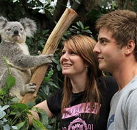 Featherdale Wildlife Park - Accommodation Cairns
