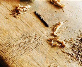 Sally Beresford Antiques/French Farmhouse Tables - Accommodation Cairns 2