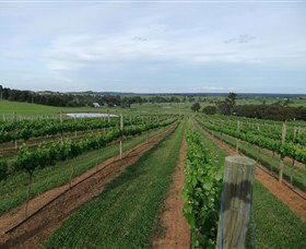 Razorback Ridge Wines - Accommodation Cairns 1