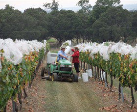 Razorback Ridge Wines - Accommodation Cairns 7