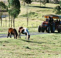 Calmsley Hill City Farm - Accommodation Cairns