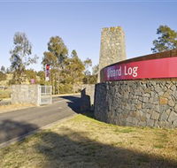 Lizard Log - Accommodation Cairns