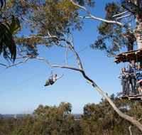TreeTop Safari - Accommodation Cairns