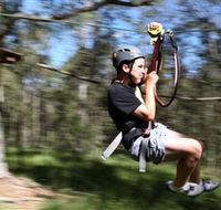 TreeTop Adventure Park Sydney - Accommodation Cairns