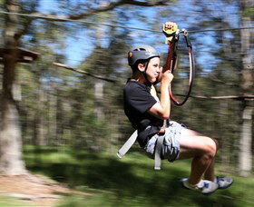 TreeTop Adventure Park Sydney - Accommodation Cairns 0