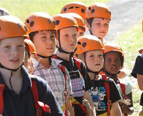 TreeTop Adventure Park Sydney - Accommodation Cairns 2