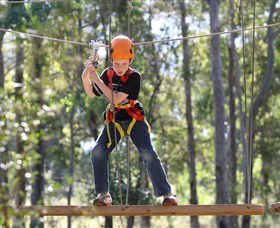 TreeTop Adventure Park Sydney - Accommodation Cairns 1