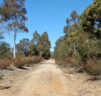 Werakata National Park - Accommodation Cairns