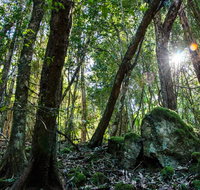 Copeland Tops State Conservation Area - Accommodation Cairns