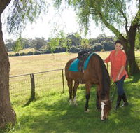 Sugarloaf Horse Centre - Accommodation Cairns