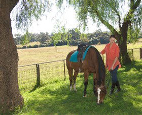 Sugarloaf Horse Centre - Accommodation Cairns 0