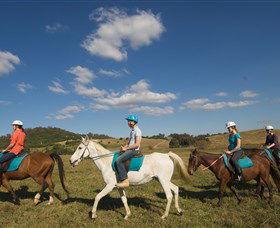 Sugarloaf Horse Centre - Accommodation Cairns 1