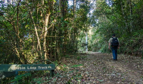 Basin Loop Track - Accommodation Cairns 0
