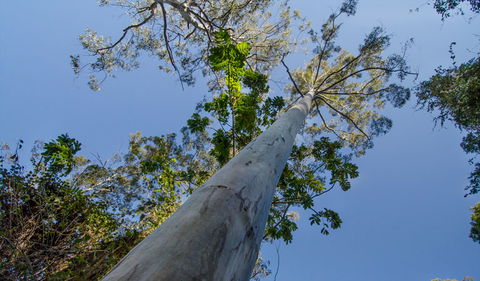 Basin Loop Track - Accommodation Cairns 2