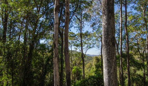 Basin Loop Track - Accommodation Cairns 3