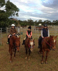 Sydney Trail Riding Centre - Accommodation Cairns 2