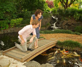 Japanese Gardens And Teahouse Campbelltown - Accommodation Cairns 1