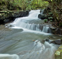 Jerusalem Creek trail - Accommodation Cairns