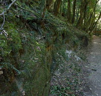 Hidden Treasure track - Accommodation Cairns