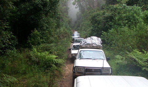 Carrai National Park - Accommodation Cairns 3