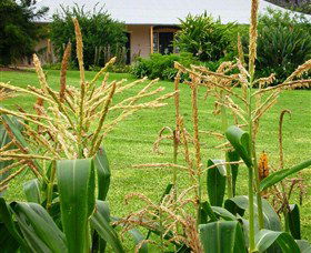 Experiment Farm Cottage - Accommodation Cairns 4