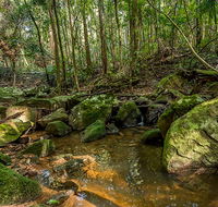Palm Grove Nature Reserve - Accommodation Cairns